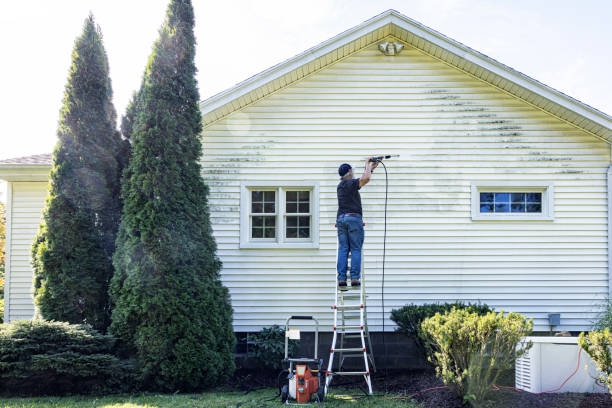 Best Pressure Washing Services Near Me  in Glenwood City, WI